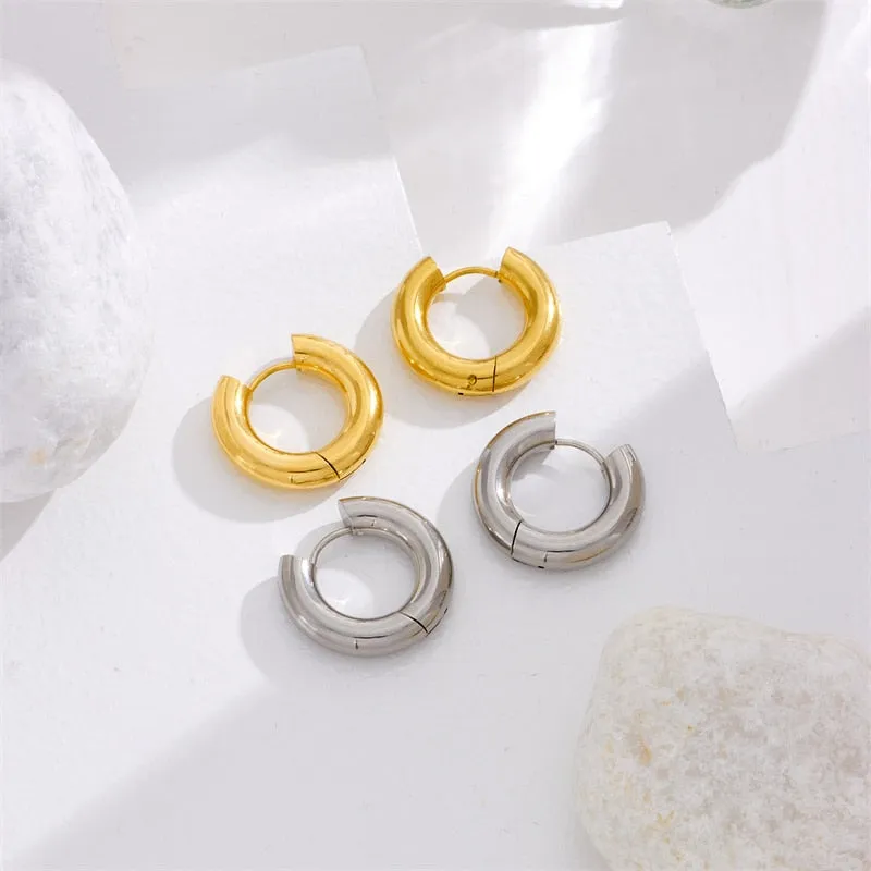 316L Stainless Steel Earrings For Women