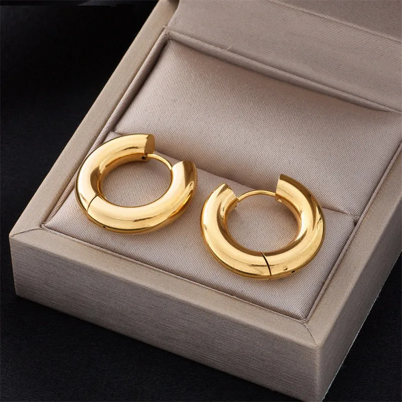 316L Stainless Steel Earrings For Women
