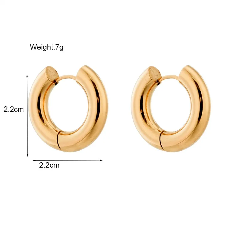 316L Stainless Steel Earrings For Women