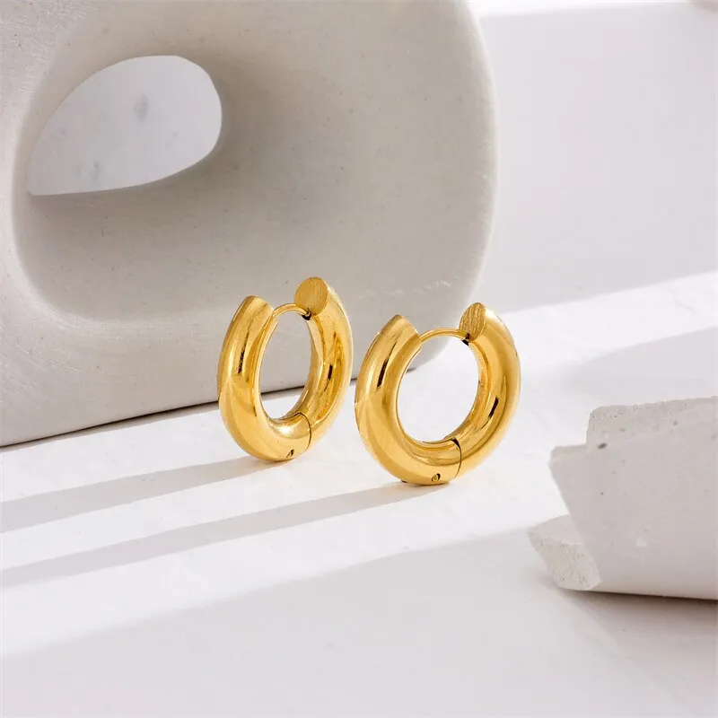 316L Stainless Steel Earrings For Women