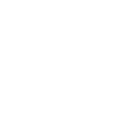 Bigfoot - Hide And Seek Champion