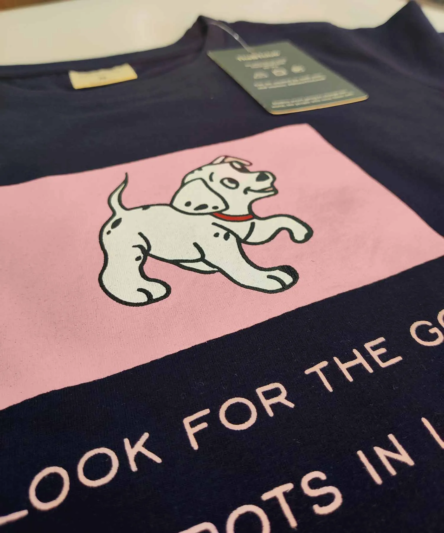 Dalmation - Look for the good spots