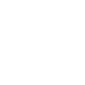 Dear Optimist Pessimist And Realist, While You Guys Were Busy Arguing