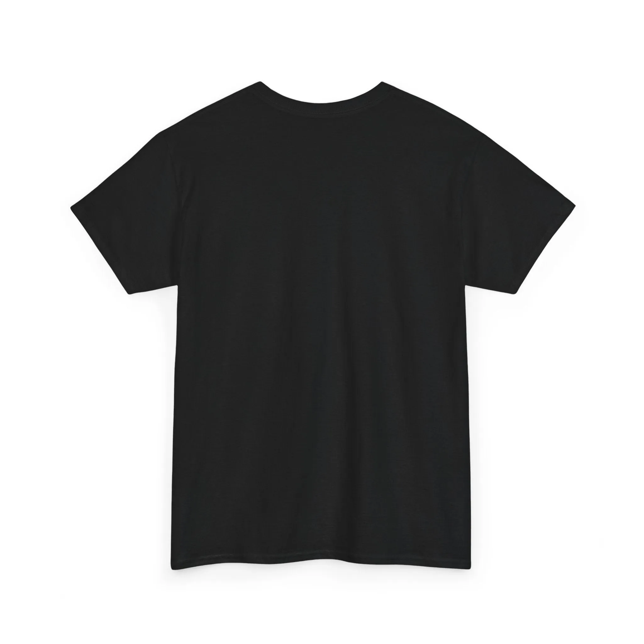 First Show Me The Candy Then I Get In The Van I'm Not Stupid Tshirt, Halloween t-shirt, Halloween shirt, fall shirt, funny halloween shirt