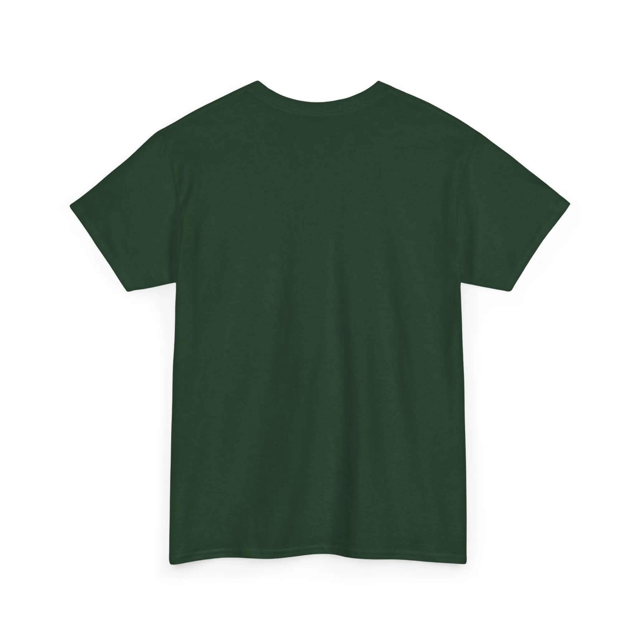 First Show Me The Candy Then I Get In The Van I'm Not Stupid Tshirt, Halloween t-shirt, Halloween shirt, fall shirt, funny halloween shirt